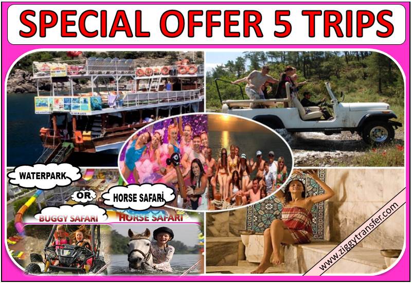 Special Offer 5 Trips   